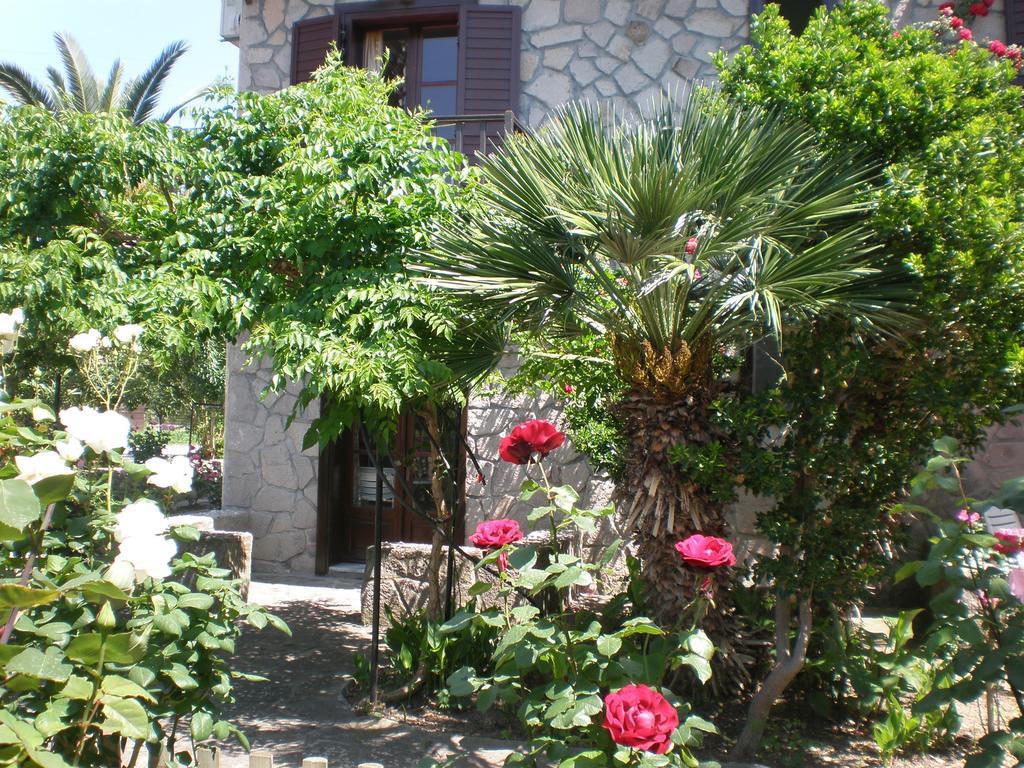 Islands Apartments Петра Екстериор снимка